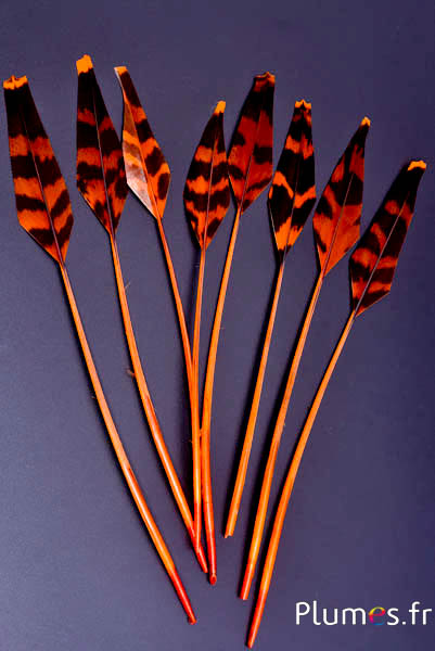 Tétras des bois flèche - 19-21 cm - orange-café